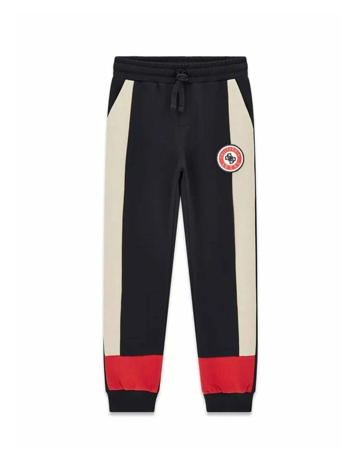 Fleece Pants in Black Multi image 1
