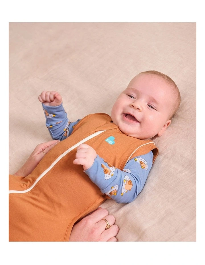 Love to Dream Swaddle Up 2-in-1 Transition Bag 1.0 TOG Viscose from Bamboo Hazel image 3