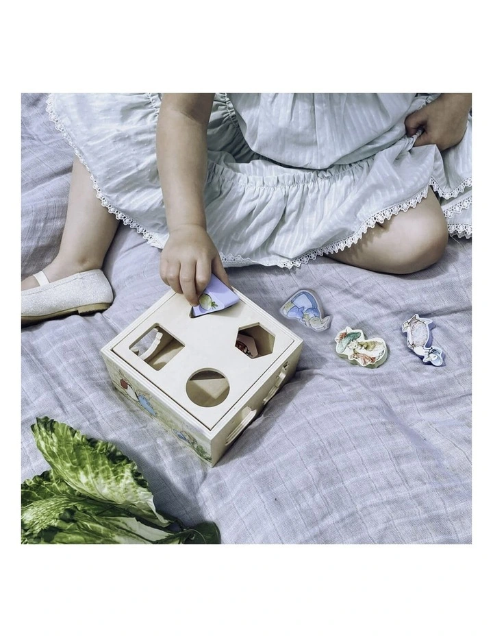 Wooden Shape Sorter Wood Activity Toy image 3