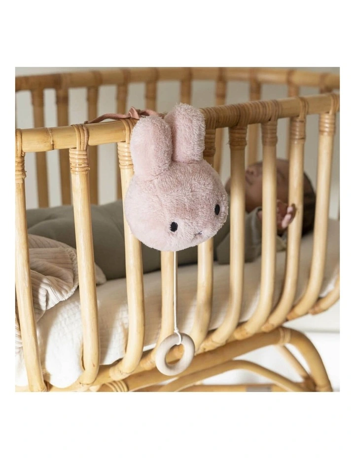 Fluffy Head Musical Soothing Toy 16cm image 4