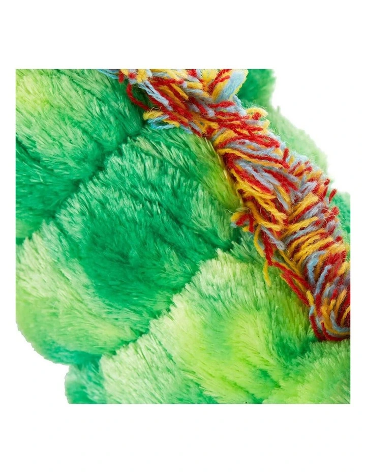 The Very Hungry Caterpillar Beanie 26cm Soft Toy image 4