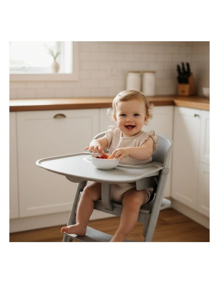 Babystudio Harry Adjustable 3-in-1 Infant Highchair Neutral Tones Grey 6m  image 4