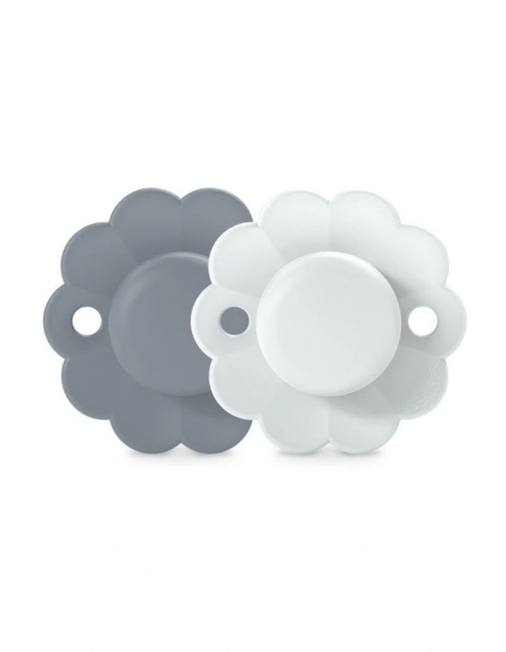 Wonder SX Pro Soother 0-6 Months 2 Pack - Spring Lake/Illusion Blue image 1