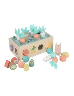 Wooden Vegetable Garden