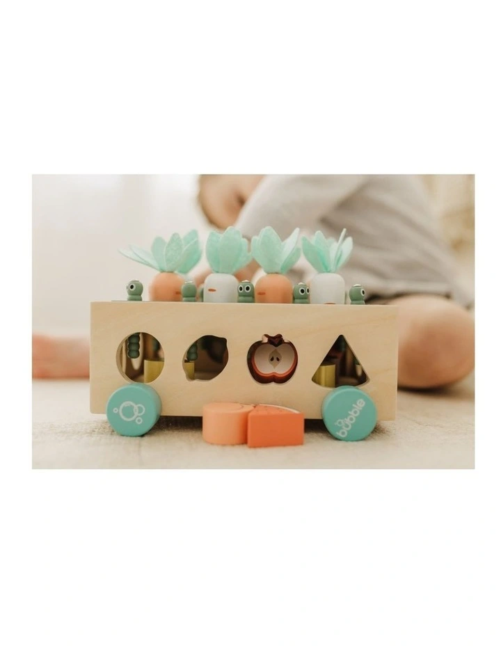 Wooden Vegetable Garden image 3