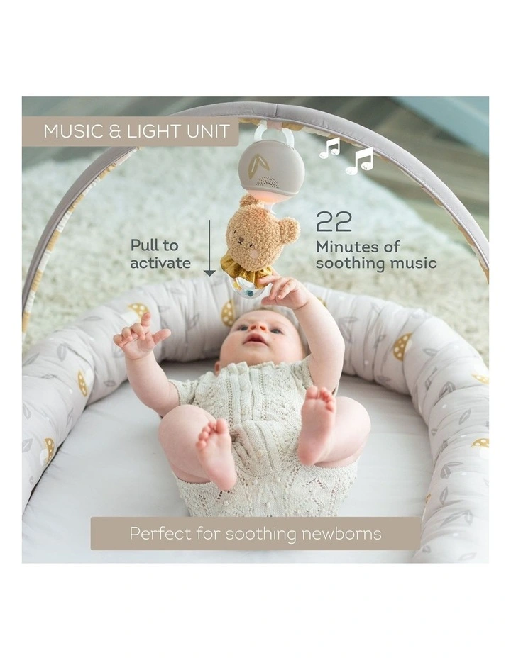 Snuggle Baby Play Pod 2-in-1 Lounger Gym Musical Bear image 6
