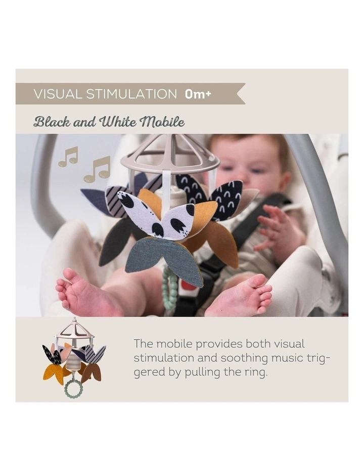 Newborn Gift Kit Sensory Development 0M Black & White image 3