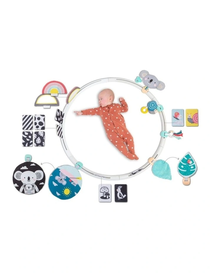 All Around Me Activity Hoop Developmental Baby Toy 0M image 1