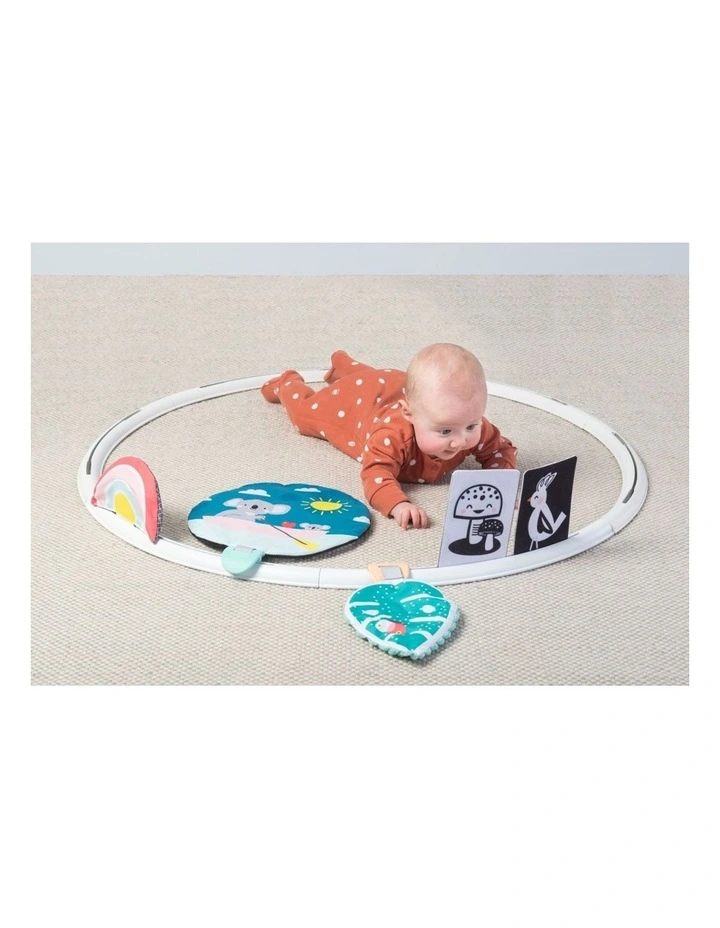 All Around Me Activity Hoop Developmental Baby Toy 0M image 5
