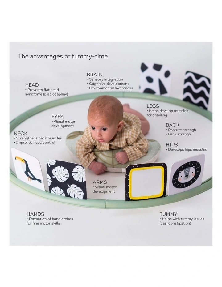 Tummy Time Trainer Baby Activity Gym W/ Accessories 0M image 6