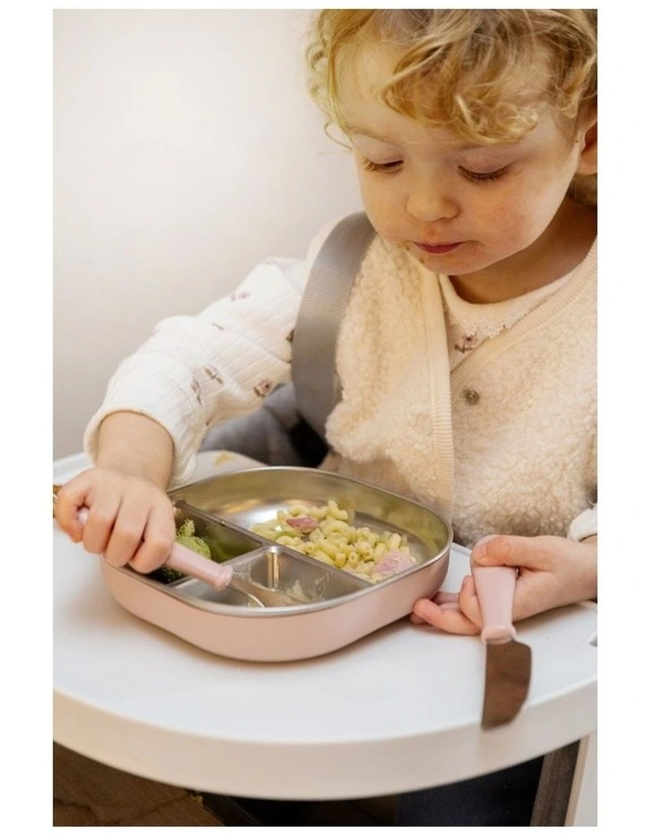 Stainless Steel Divided Plate - Cotton Candy image 4