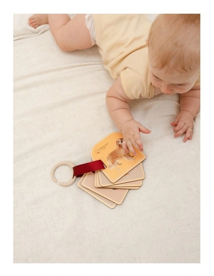 Montessori by Eichhorn Picture Book image 7