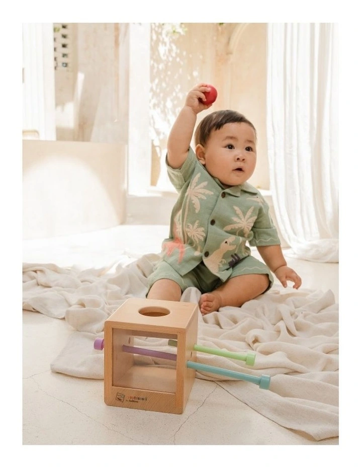 Montessori by Eichhorn Box with Balls image 5