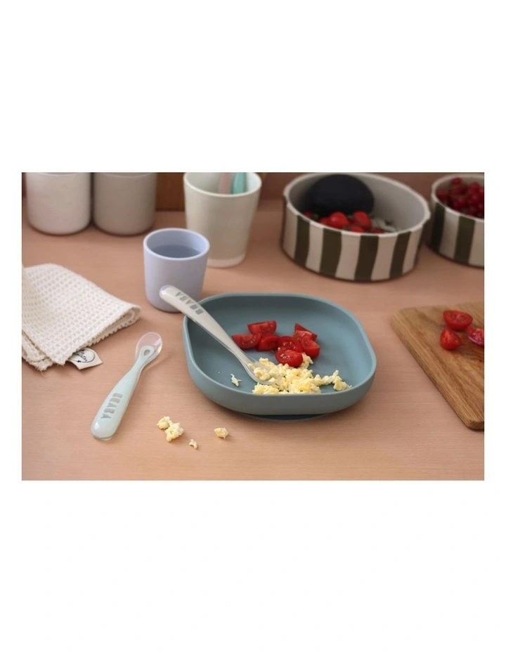 1st Stage Silicone Spoons & Case 2 Pack - Clay/Misty Green image 3