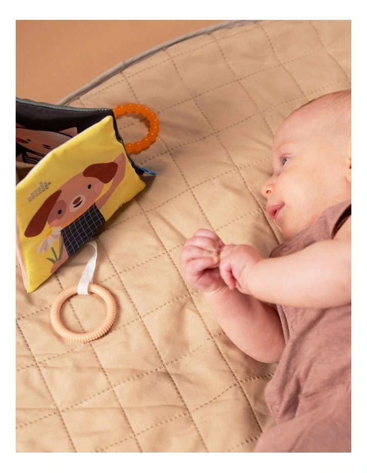 Taf Toys Tummy Time Activity Kit Sensory Play & Development Set 0m image 3