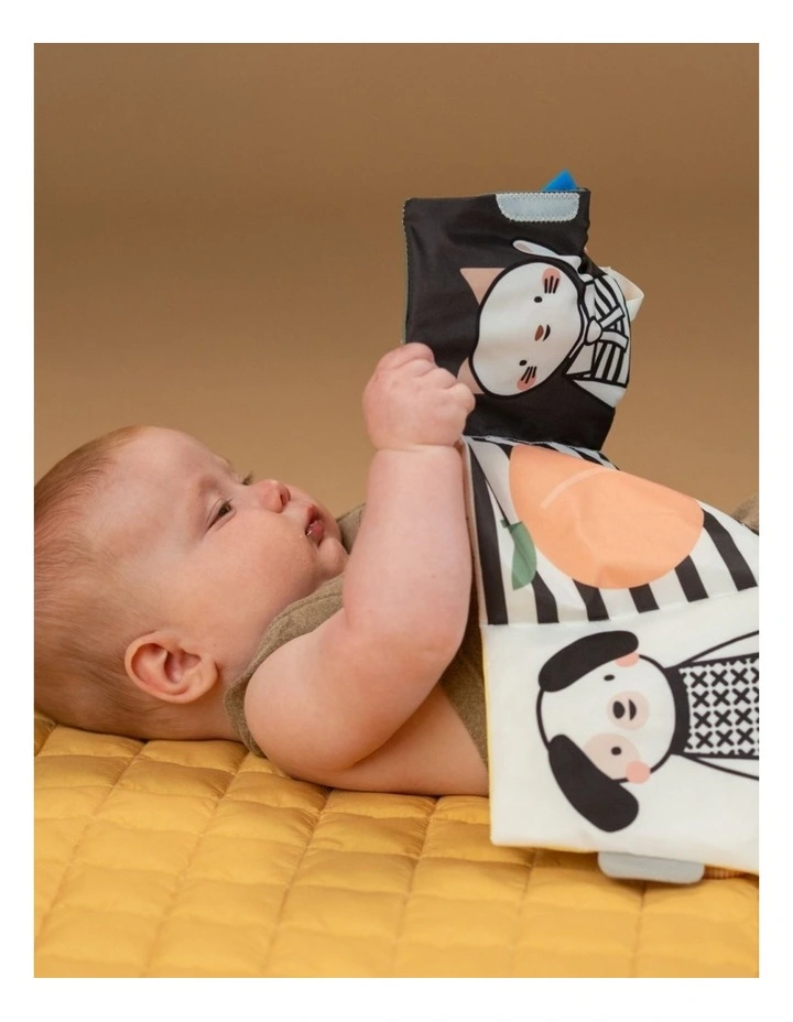 Taf Toys Tummy Time Activity Kit Sensory Play & Development Set 0m image 4