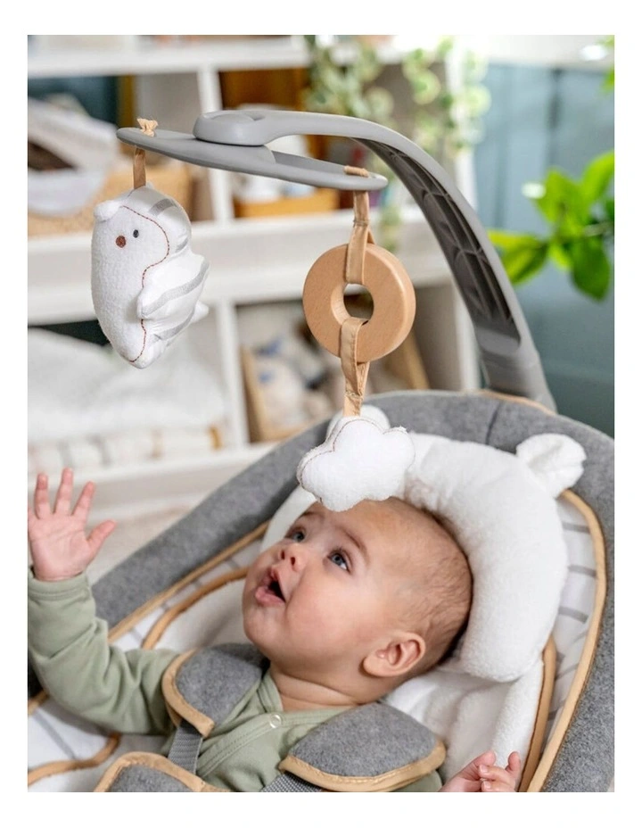Ingenuity Boutique Collection Premium Newborn Rocking Seat Bella Teddy 0-30m image 6