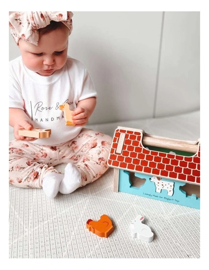 11pc Bigjigs Toys Wooden Farmhouse Sorter Kids Toy 12m  Multicoloured Wood image 7