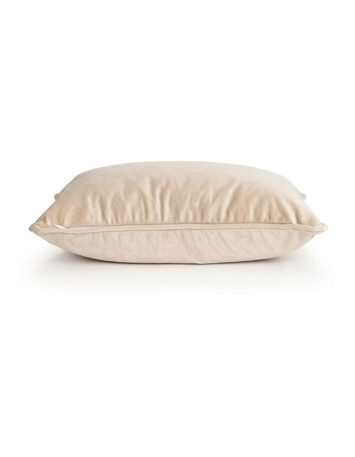 SOHO - CHAMPAGNE - VELVET CUSHION - WHITE PIPE image 2