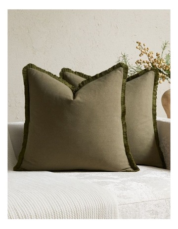Olive colour