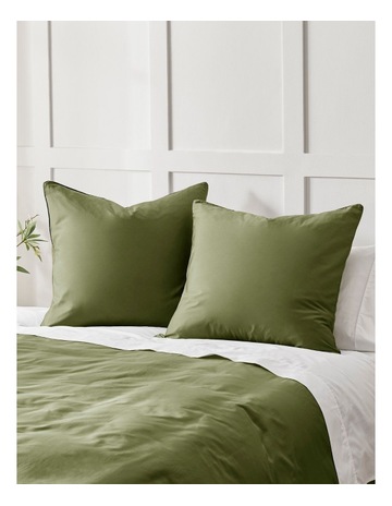 Olive colour
