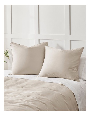 Oatmeal colour