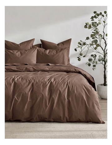 Chocolate colour