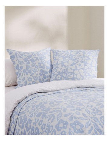 Sky Blue colour