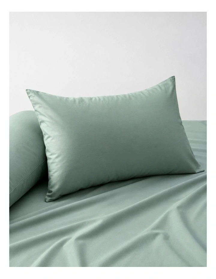 Accessorize Bamboo Cotton Standard Pillowcase Pair Sage image 1