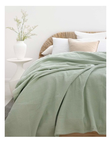 Sage colour