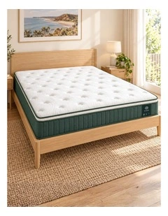 Chiro 5-zone Green Premium Pocket Spring Medium Plush Mattress