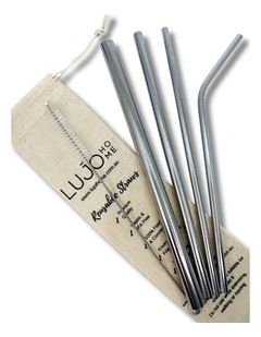 Metal Straws Mixed Set in Silver