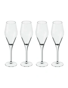 La Divina Champagne Flute, Set 4pcs