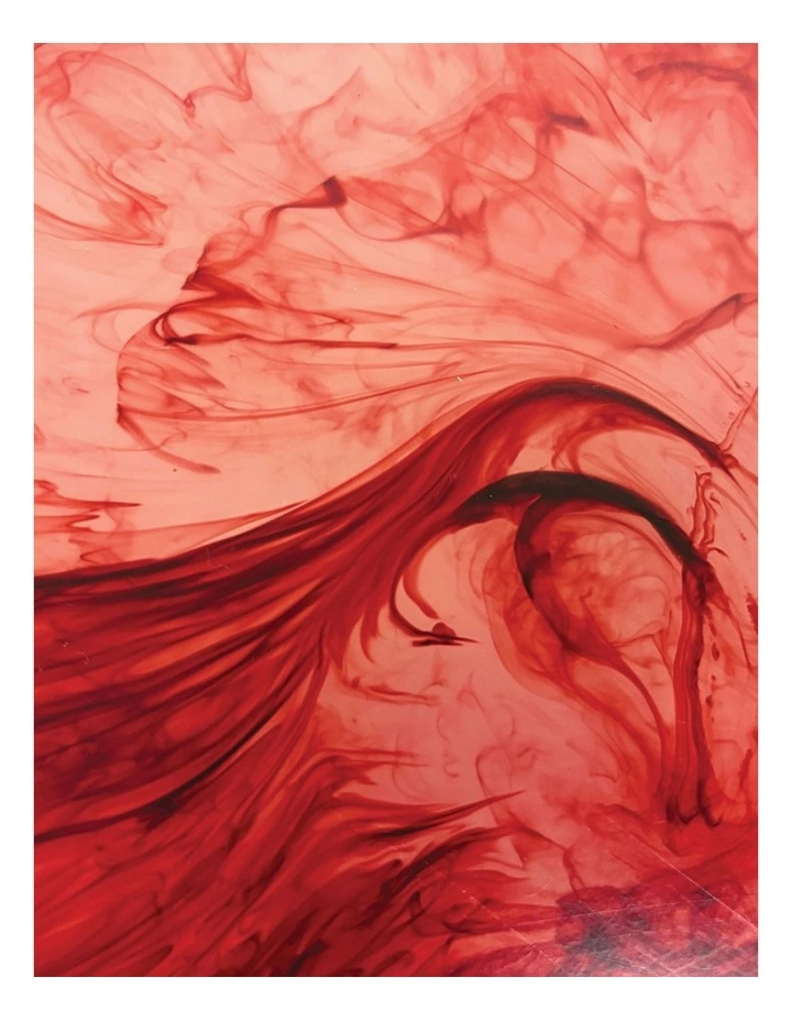 Urban Attitude MIA Extra Large Bowl 6 x 37 x 49cm - Berry Red image 3