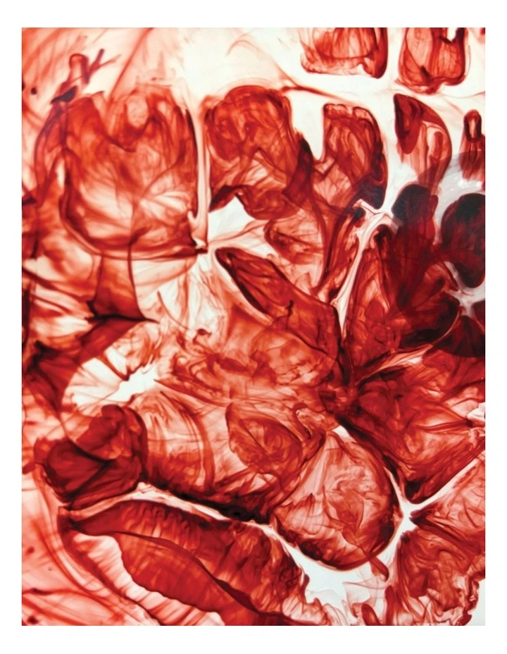 Urban Attitude JADE Medium Bowl 5-8 x 27 x 28cm - Berry Red image 3