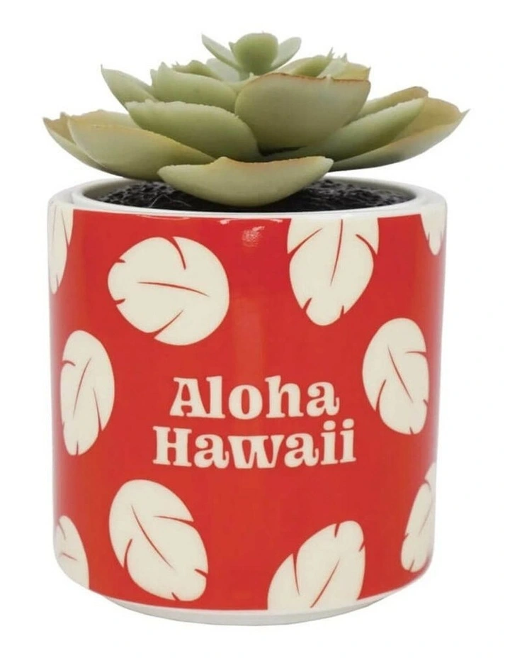 Classics - 'Lilo and Stitch' Planter with Faux Plant in Red image 2