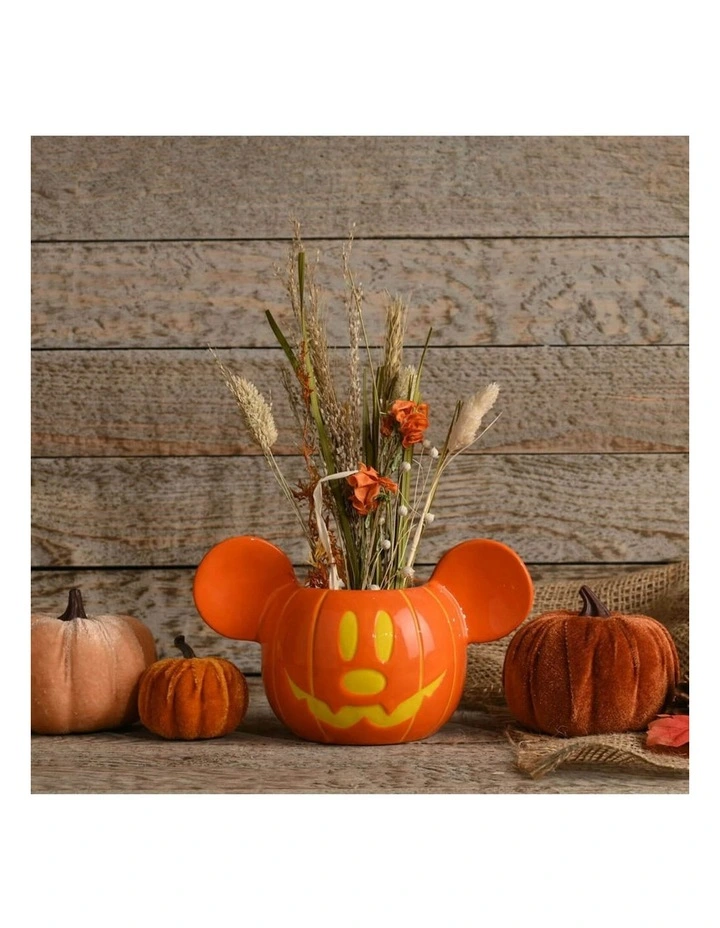 Halloween Themed Mickey Plant Pot in Orange image 3