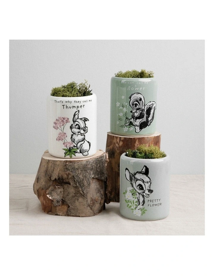 Forest Friends Character Pots Set Of 3 in Multi image 7