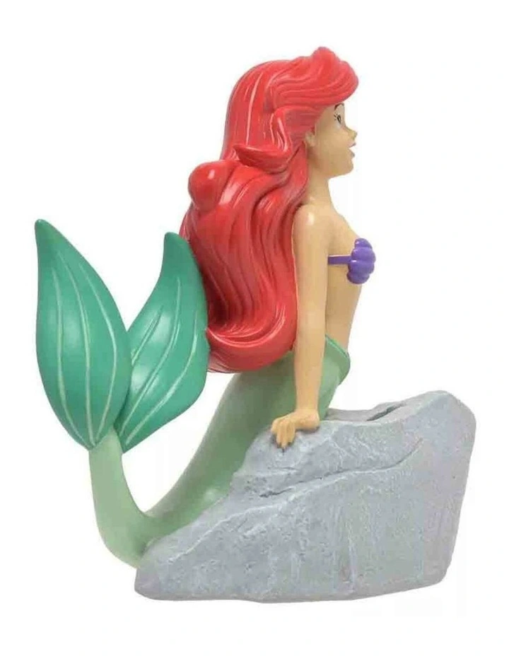 Ariel Moneybank in Multi image 3