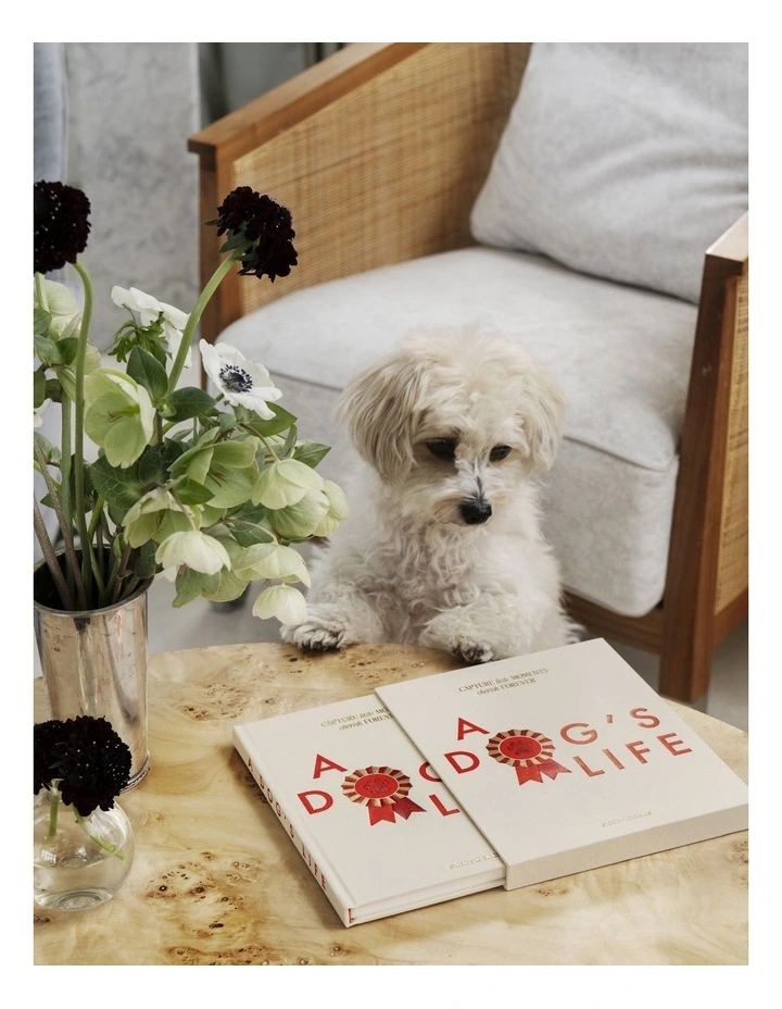 A Dog's Life in Journal image 4