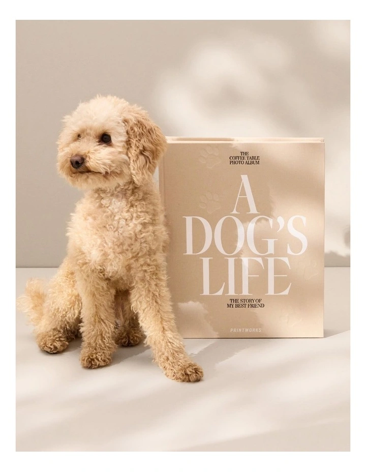 A Dogs Life Album in Multi image 4