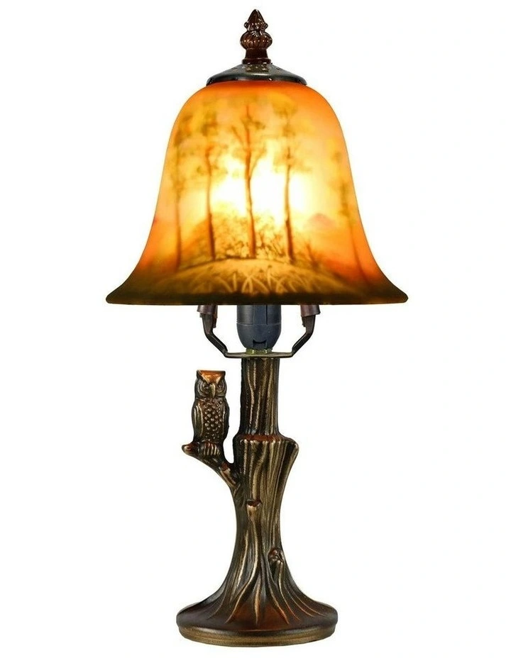 Hand Painted Table Lamp in Owl image 1