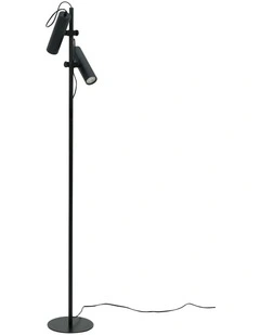 Tara Adjustable Head Floor Lamp in Black