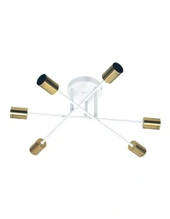 Muna 6 Satin Brass Ceiling Light in White