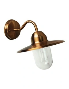 Alley Retro Angled Exterior Light in Copper