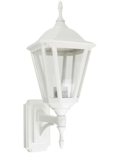 Java Mini Double Insulated Coach Exterior Light in White
