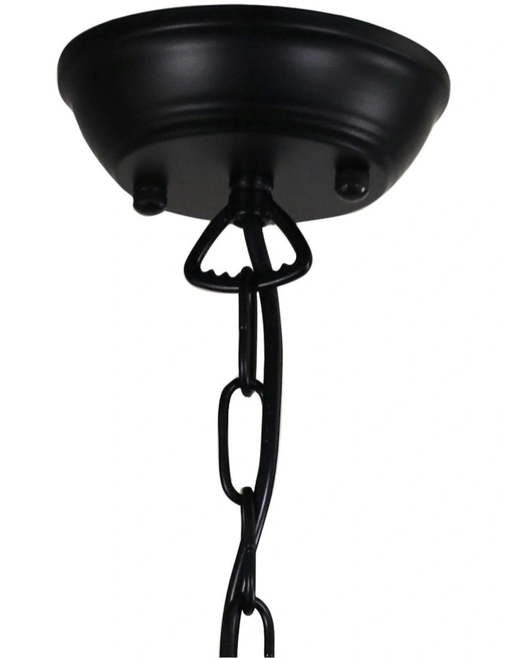 Maison 27 Halophane Glass Pendant Light in Black image 4