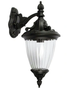 Newark Down Exterior Light in Black
