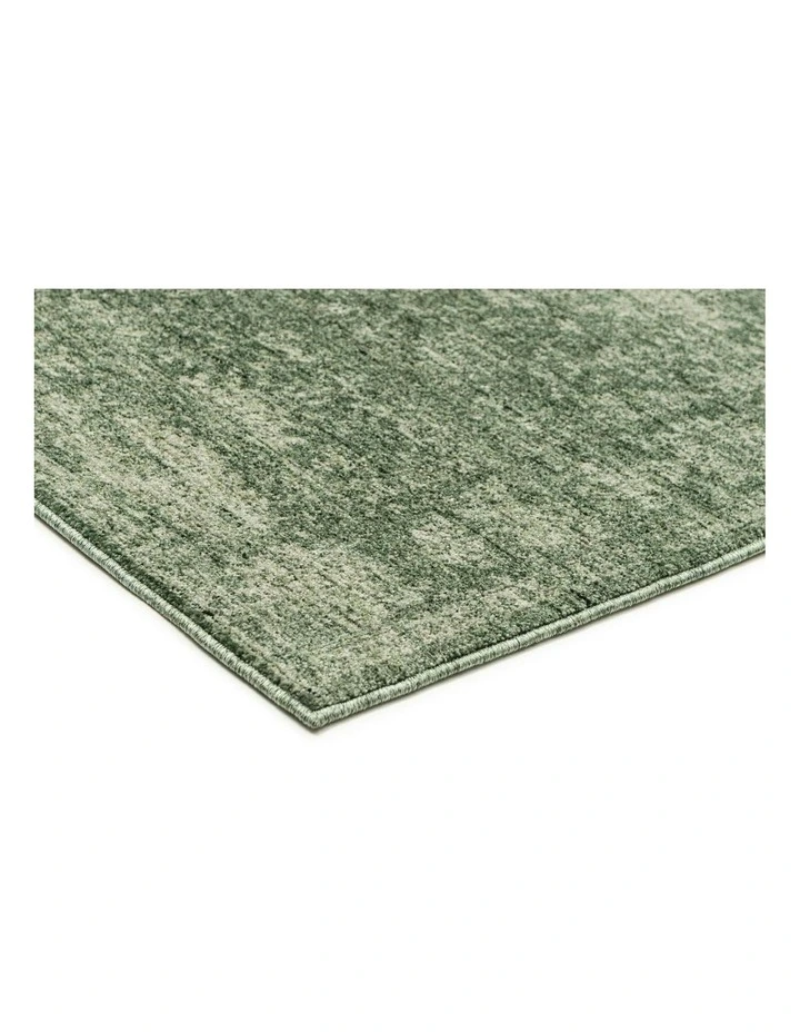 Orfeos Tonal Distressed Rug in Green image 2