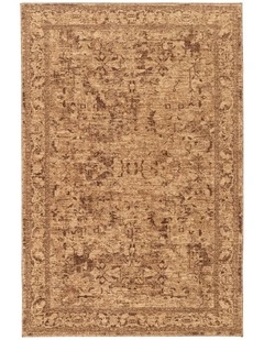 Serron Tonal Traditional Rug in Brown